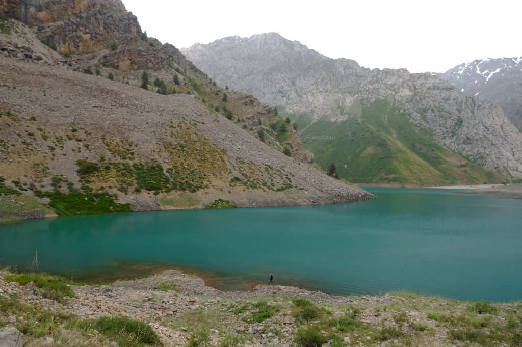 blog-image