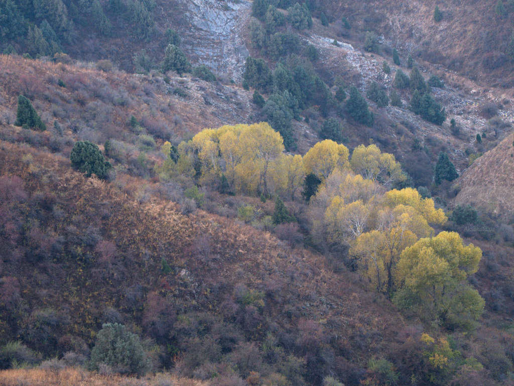 blog-image